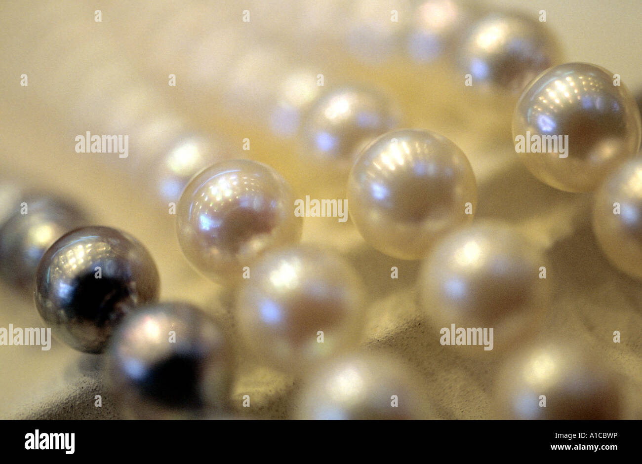 Schmuck natürliche Perlen Perlenkette Detail Closeup Reichtum symbol Stockfoto
