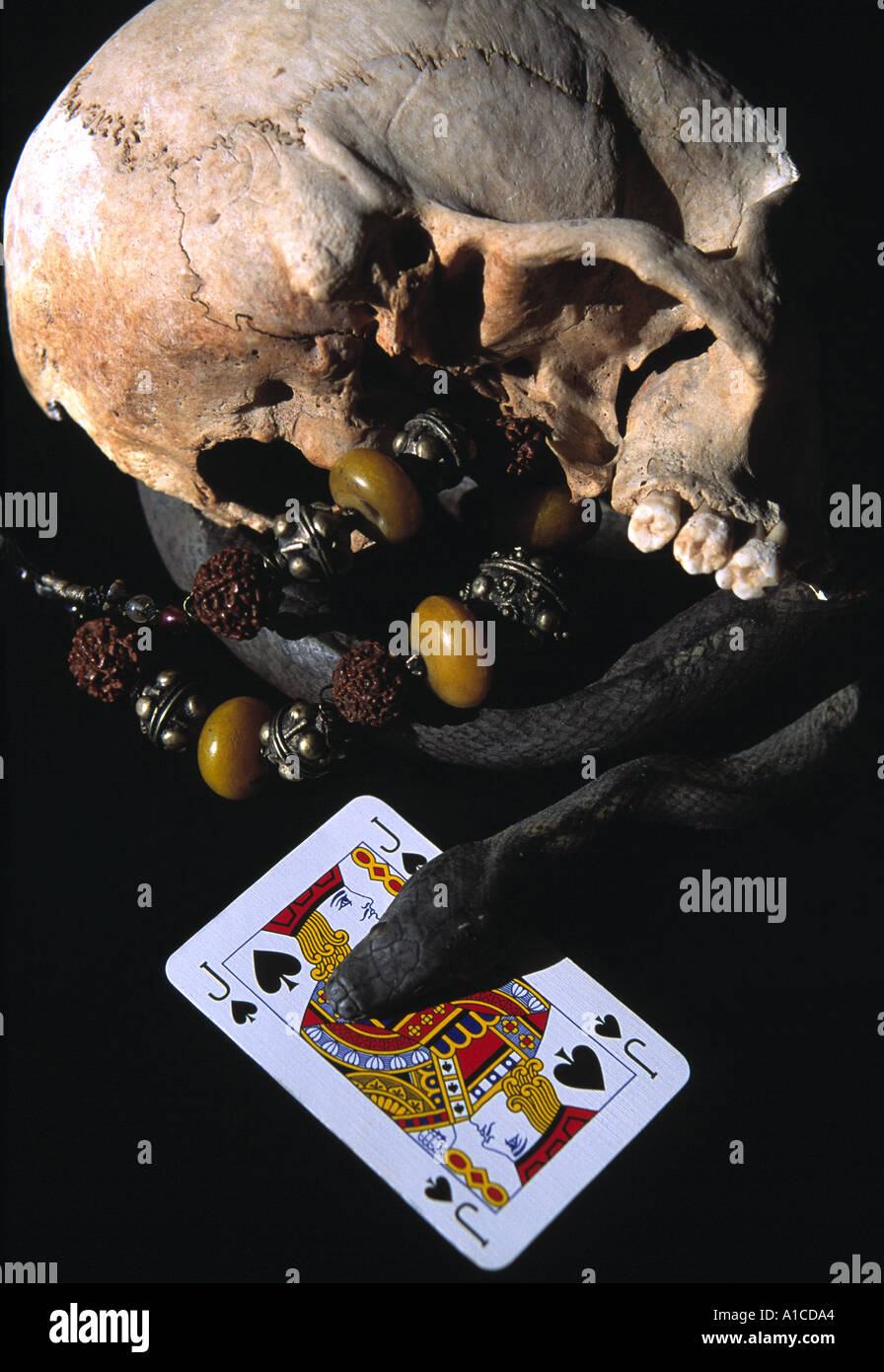 Schädel, Schlange und Pik-Bube verwendeten es Black Magic Rituale. Stockfoto