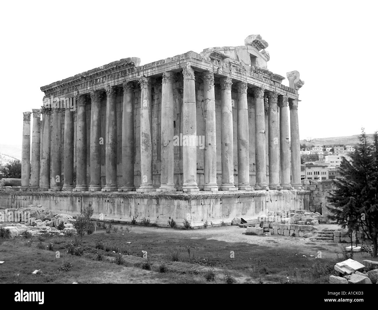 Der Tempel des Bacchus Baalbeck römischen Ruinen Libanon Stockfoto