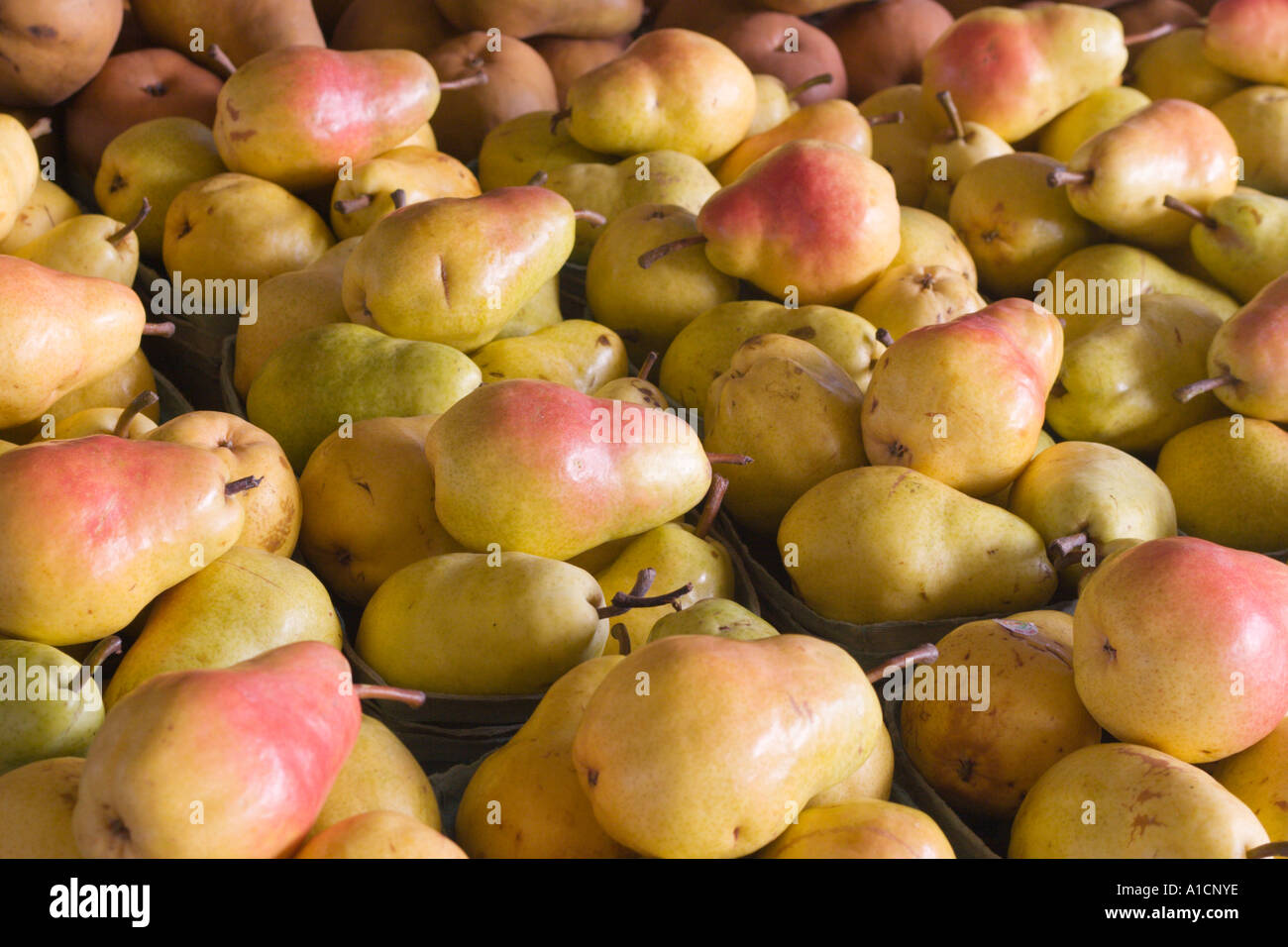 Birnen zum Verkauf auf einem Bauernmarkt in Zentral-Florida, USA Stockfoto