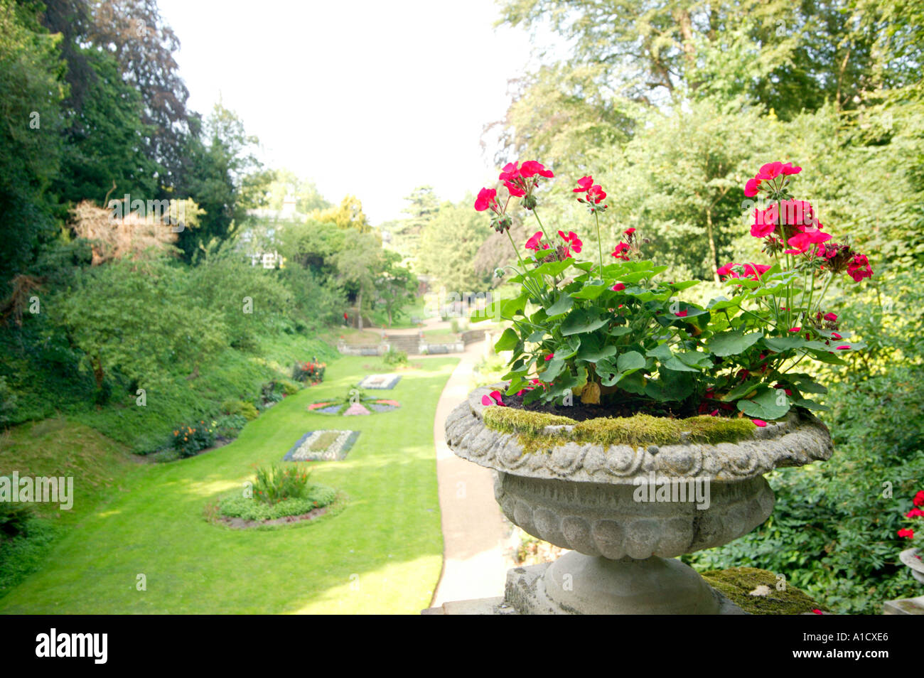 Geranium in Original Pflanzer Viktorianischer Garten Norwich Stockfoto Geranium in Original Pflanzer Viktorianischer Garten Norwich Stockfoto