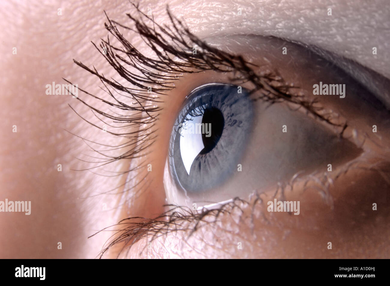 Graue weibliche Auge Auge closeup Stockfoto
