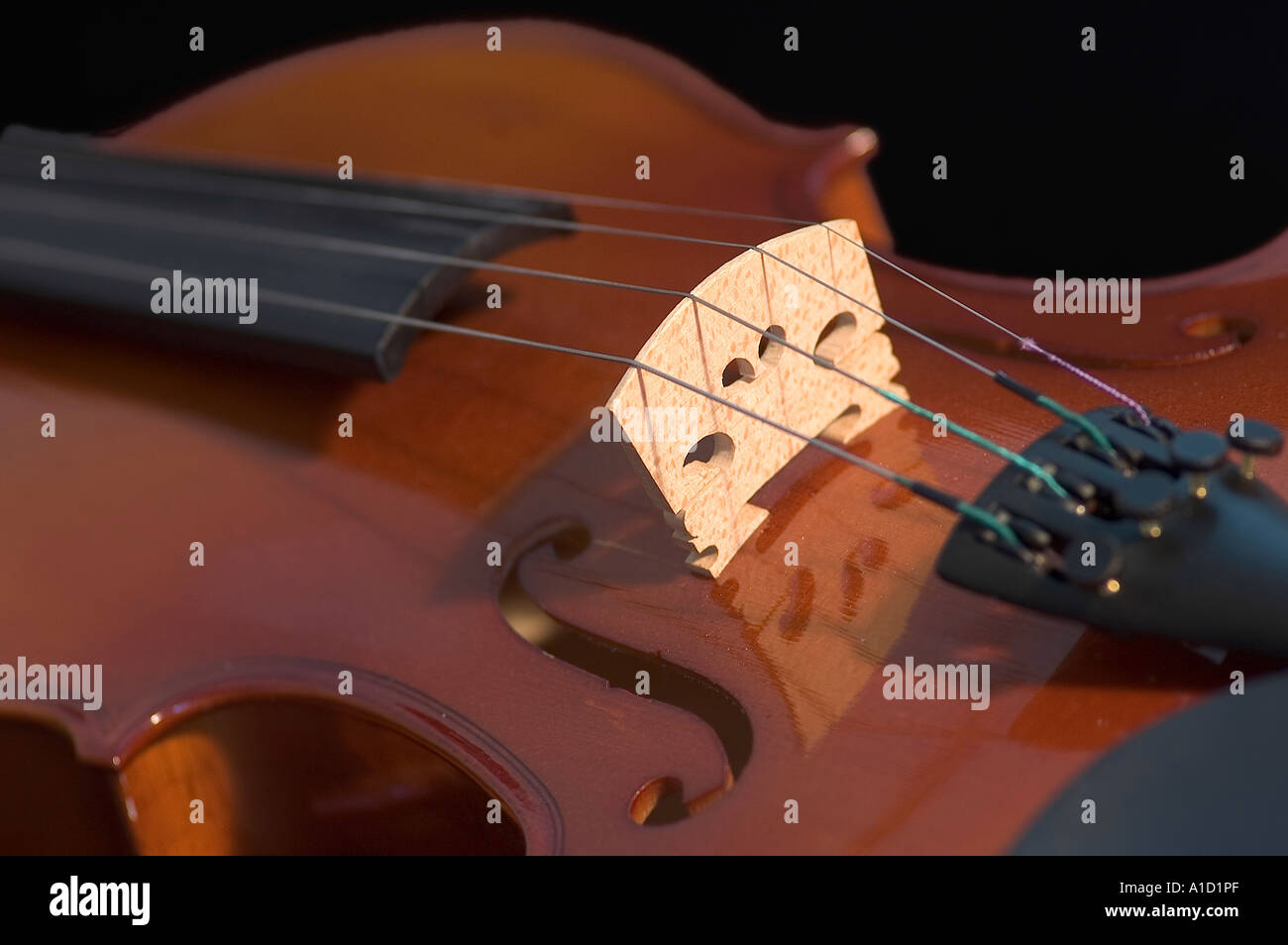 Violine, Detailansicht Stockfoto