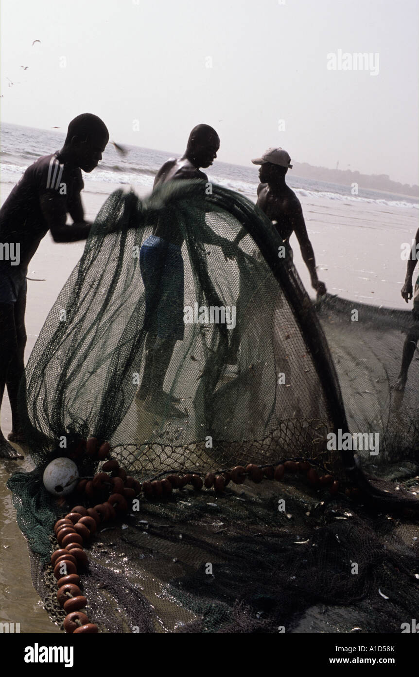 Freetown, Sierra Leone. Fischer in Netzen schleppen Stockfoto