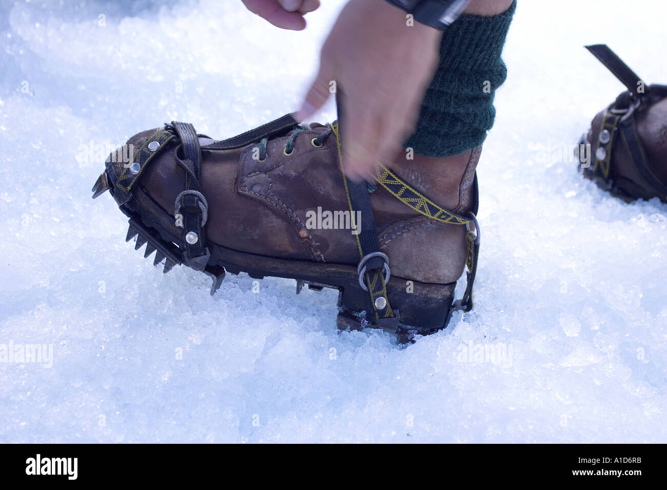 Steigeisen Franz Josef Gletscher Westküste Südinsel Neuseeland Stockfoto