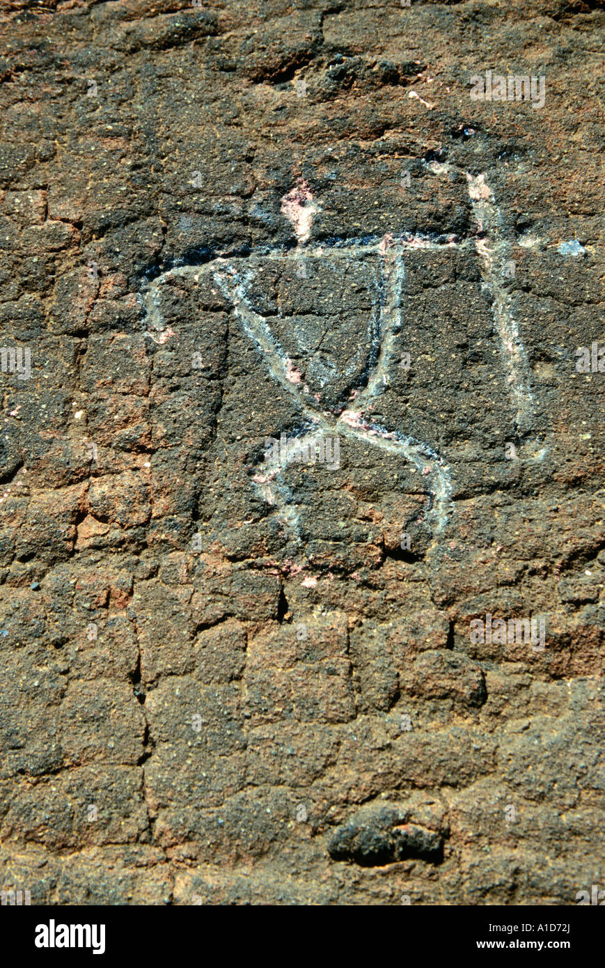Ein petroglyph unter den Puako Felszeichnungen auf der grossen Insel von Hawaii. Stockfoto