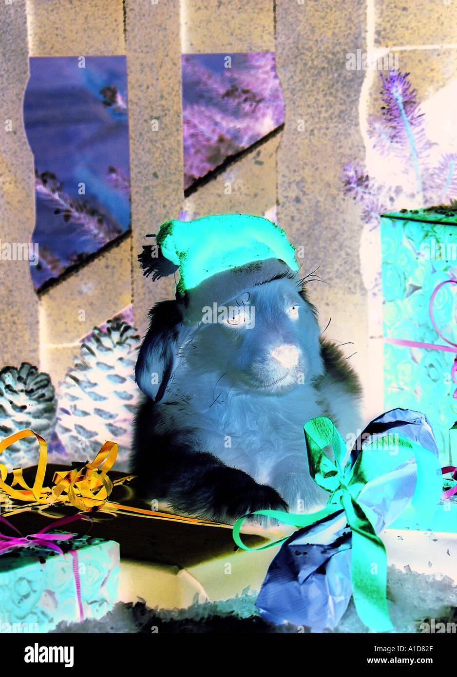 Weihnachten Welpen präsentiert Stockfoto