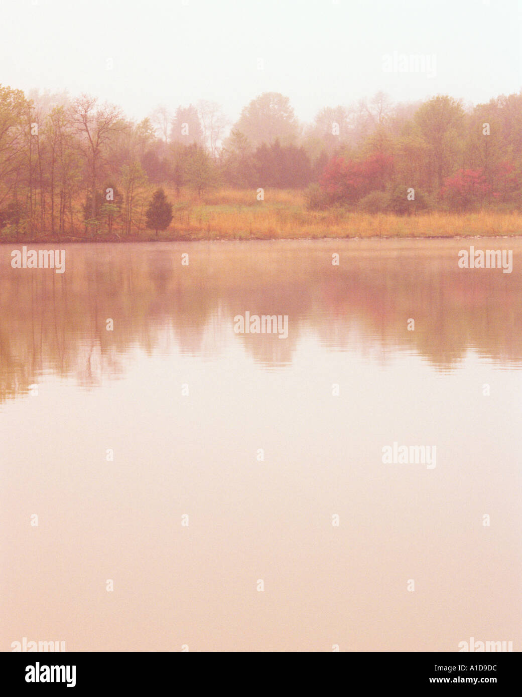 nebligen Frühlingsmorgen mit See Reflexionen Stockfoto