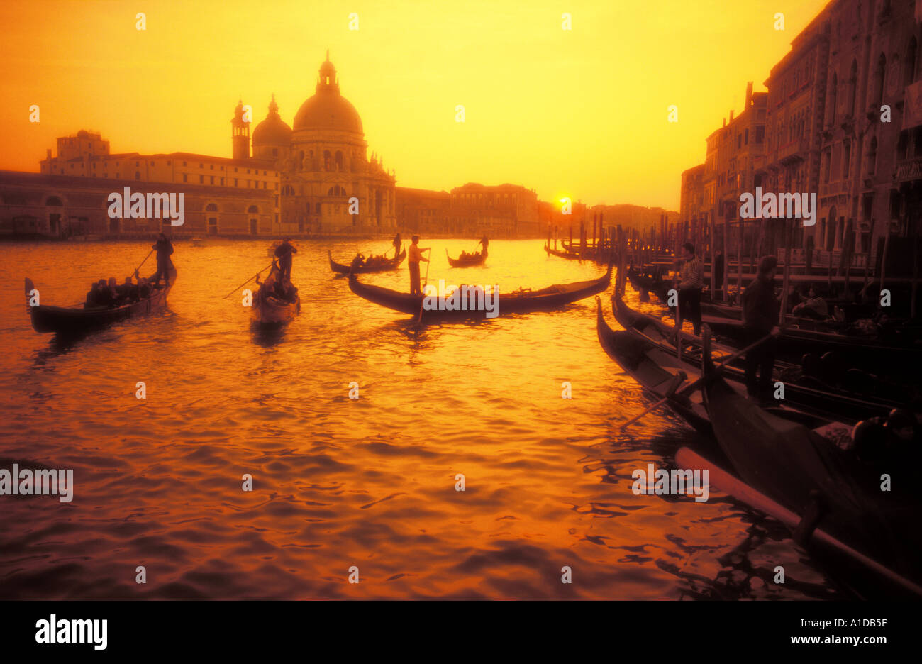 Italien Venedig Gondoliere auf dem Canale Grande bei Sonnenuntergang mit Santa Maria della Salute im Hintergrund Stockfoto