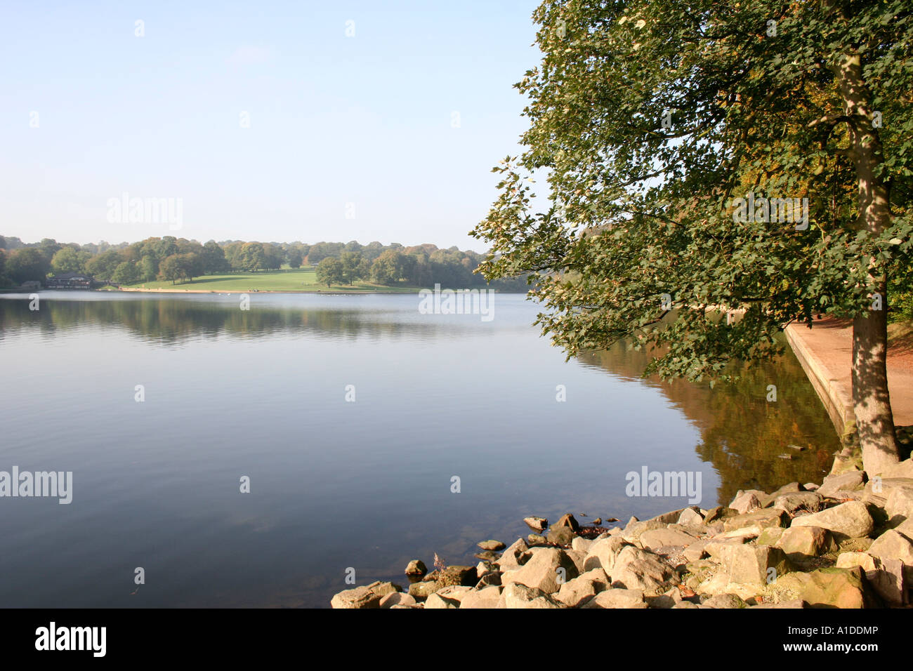 Roundhay Park See in Leeds Stockfoto
