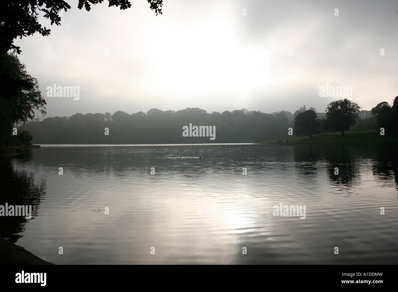 Roundhay Park See in Leeds Stockfoto
