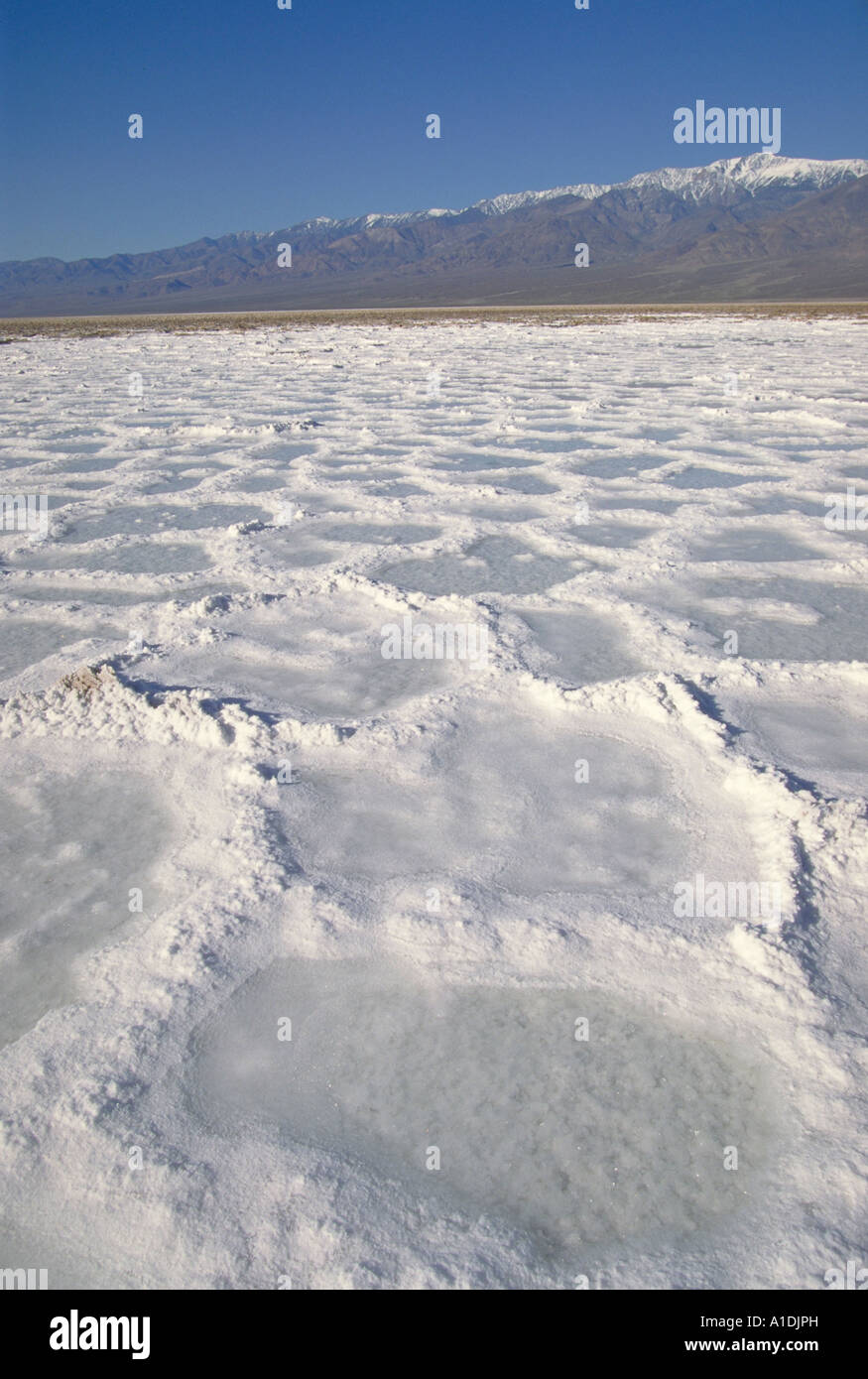 Elk248 1520 Kalifornien Death Valley NP Teufel s Golfplatz Salz pools Stockfoto