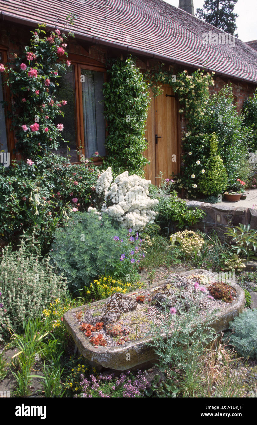 Steintrog Pflanzgefass Auf Kies Garten Mit Alpenhohen Stockfoto