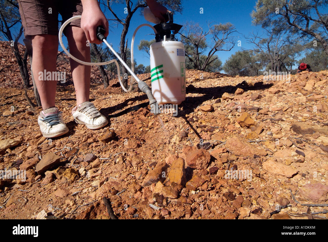Größte, die auf der Suche nach Opale auf Opalton, Outback Queensland, Australien Foto von Bruce Miller Stockfoto