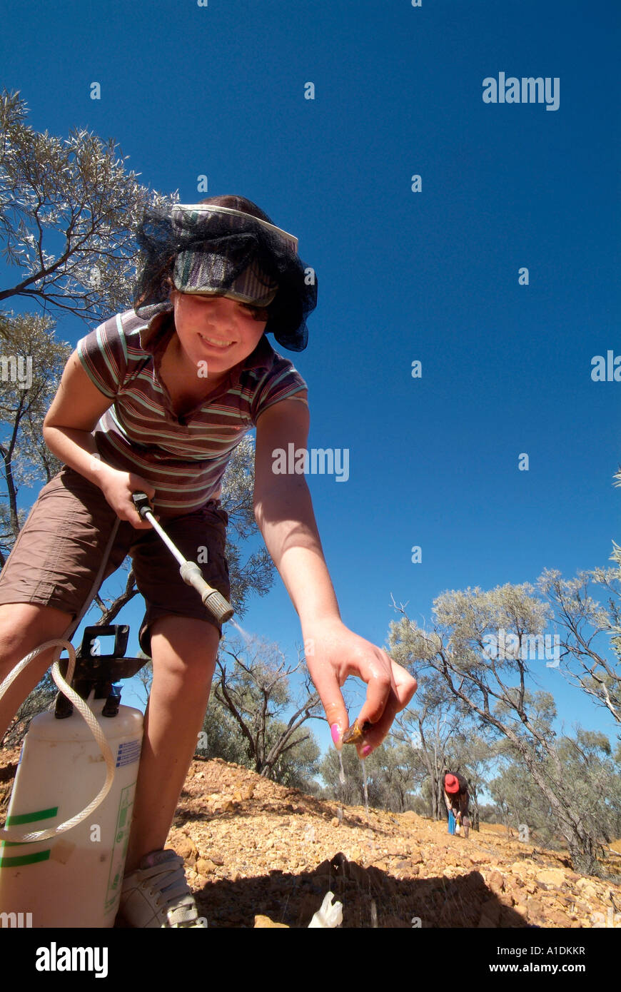 Fossicker auf der Suche nach Opale auf Opalton, outback Queensland Australien, Foto von Bruce Miller Stockfoto