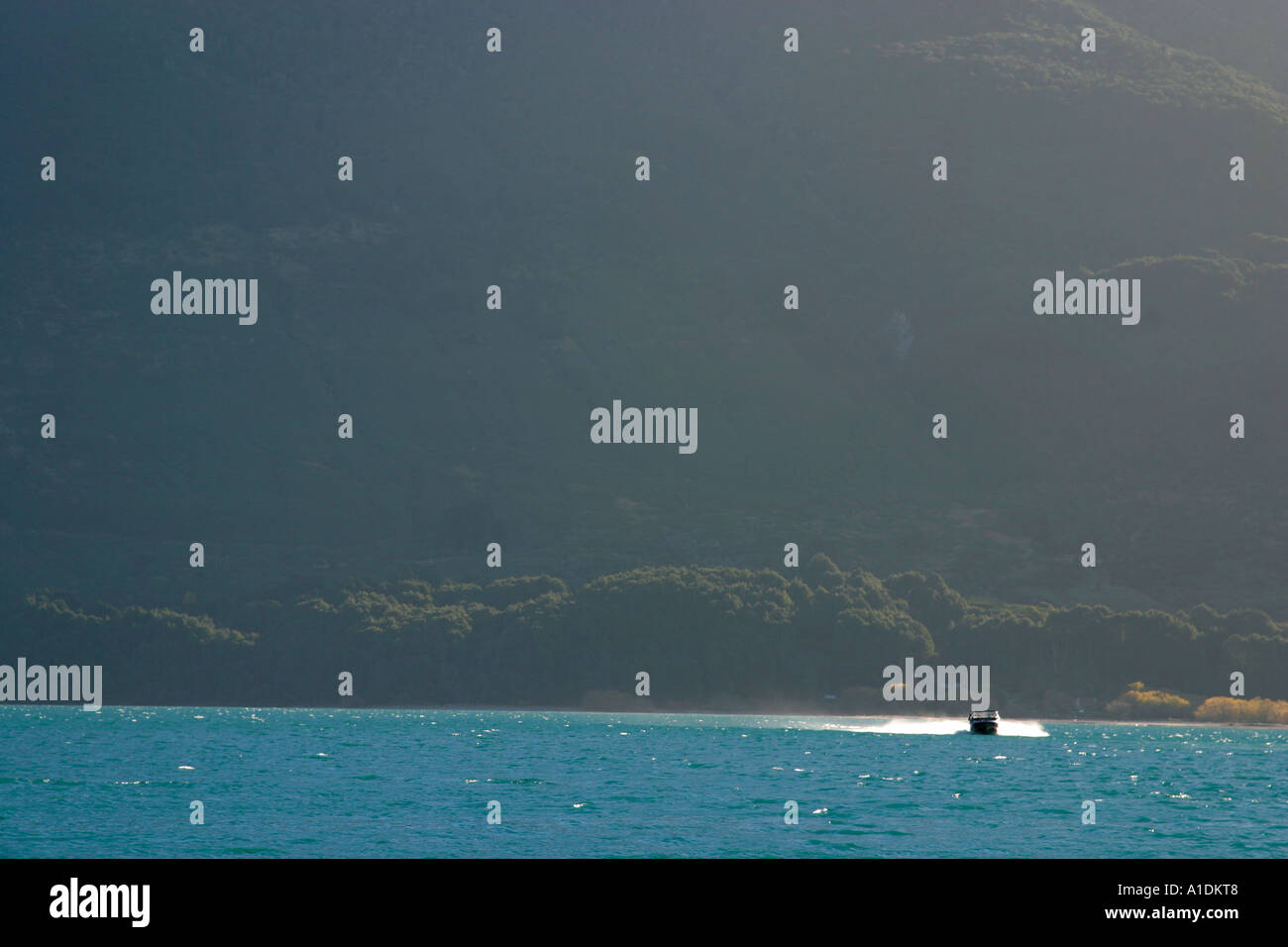 Jet-Boot extreme Erfahrung, geführt von Dart River Safari, NZ Stockfoto