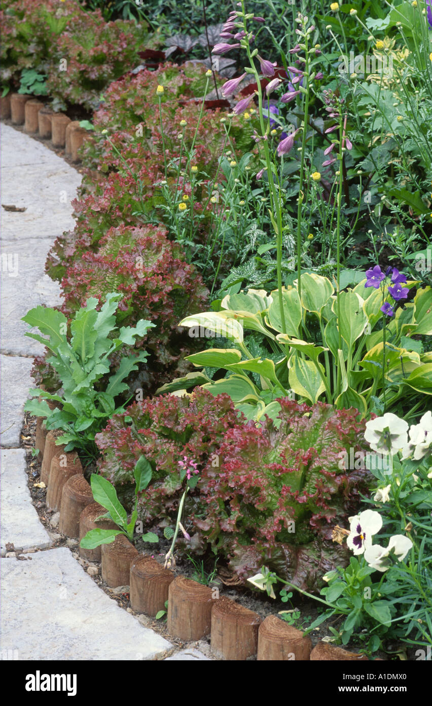 hölzerne Einfassung mit ornamentalen Gemüse in Grenze Stockfoto