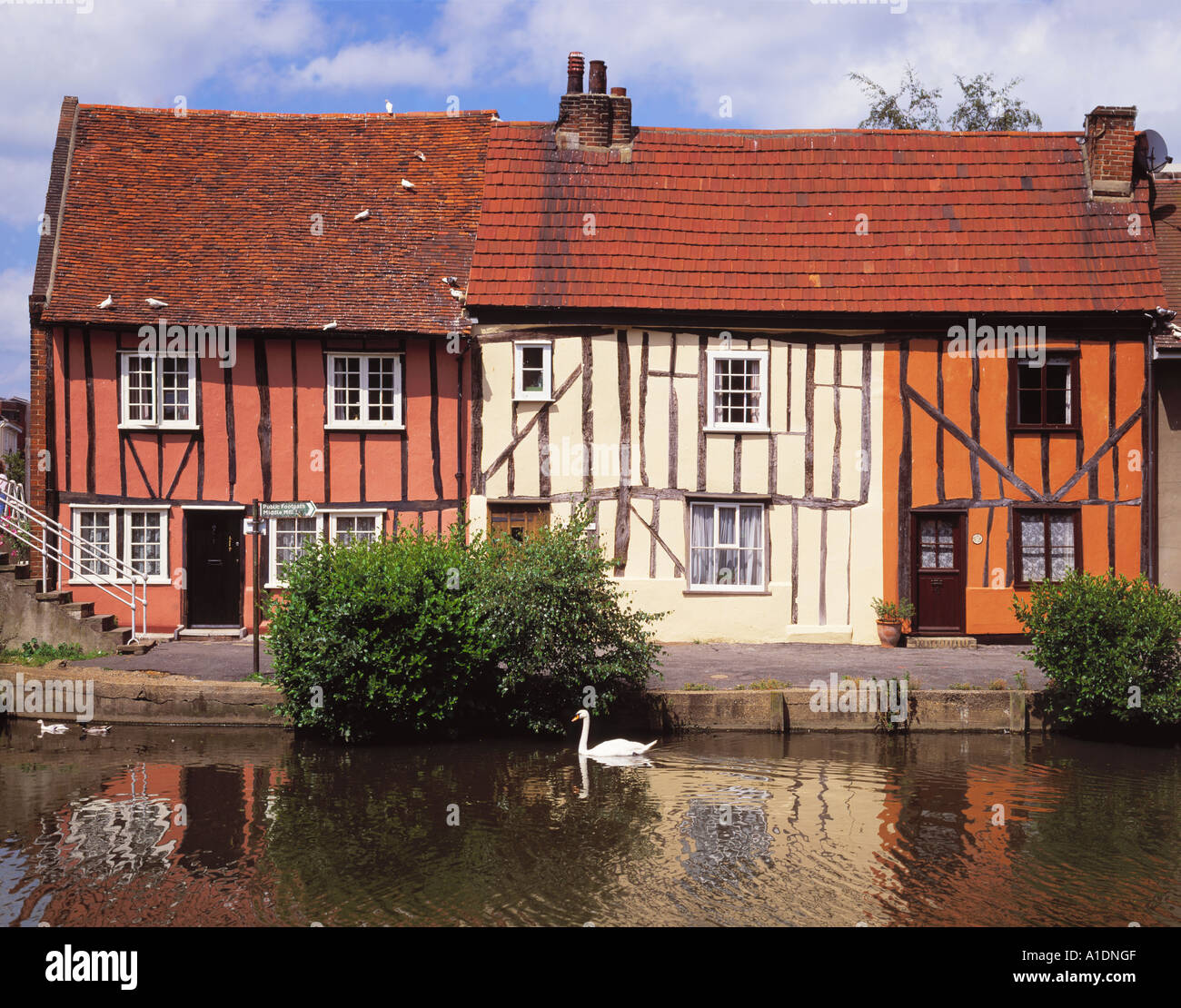 GB ESSEX COLCHESTER FLUSS COLNE FLUSSPROMENADE Stockfoto