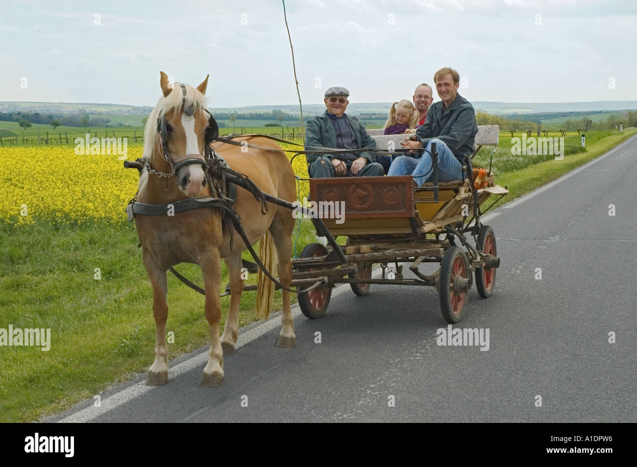 Österreich-Weinviertel-Familie auf Sonntagsausflug in Pferd gezogenen Wagen Stockfoto
