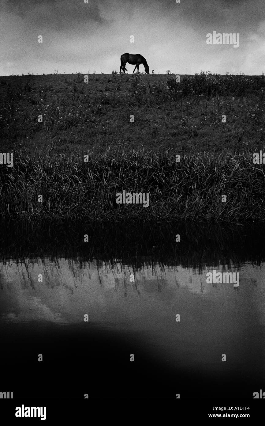 schwarz / weiß Bild des einsamen schwarzes Pferd am Horizont mit Fluss im Vordergrund Stockfoto schwarz / weiß Bild des einsamen schwarzes Pferd am Horizont mit Fluss im Vordergrund Stockfoto