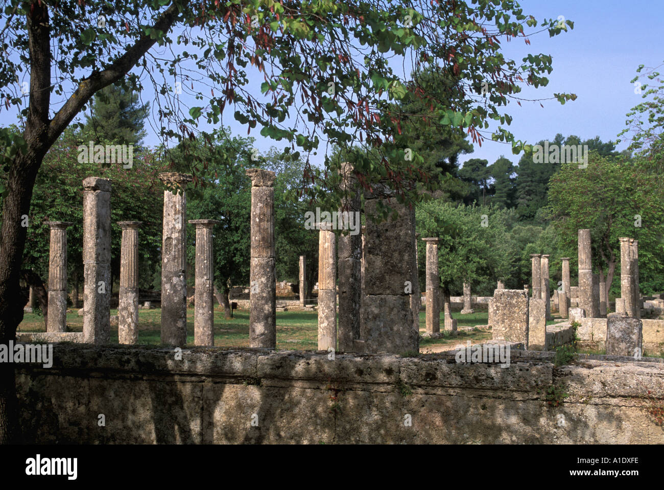 dorischen Säulen der Palästra Olympia Griechenland Antike griechische Ringer Athleten ersten Olympischen Spiele Stockfoto