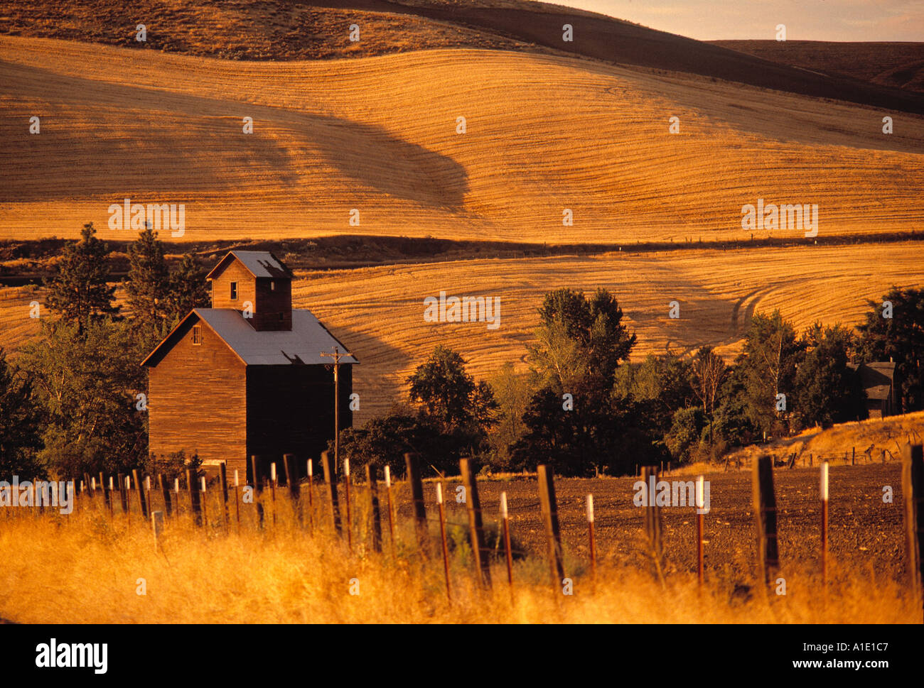 Bauernhof, Bend, Oregon, USA Stockfoto