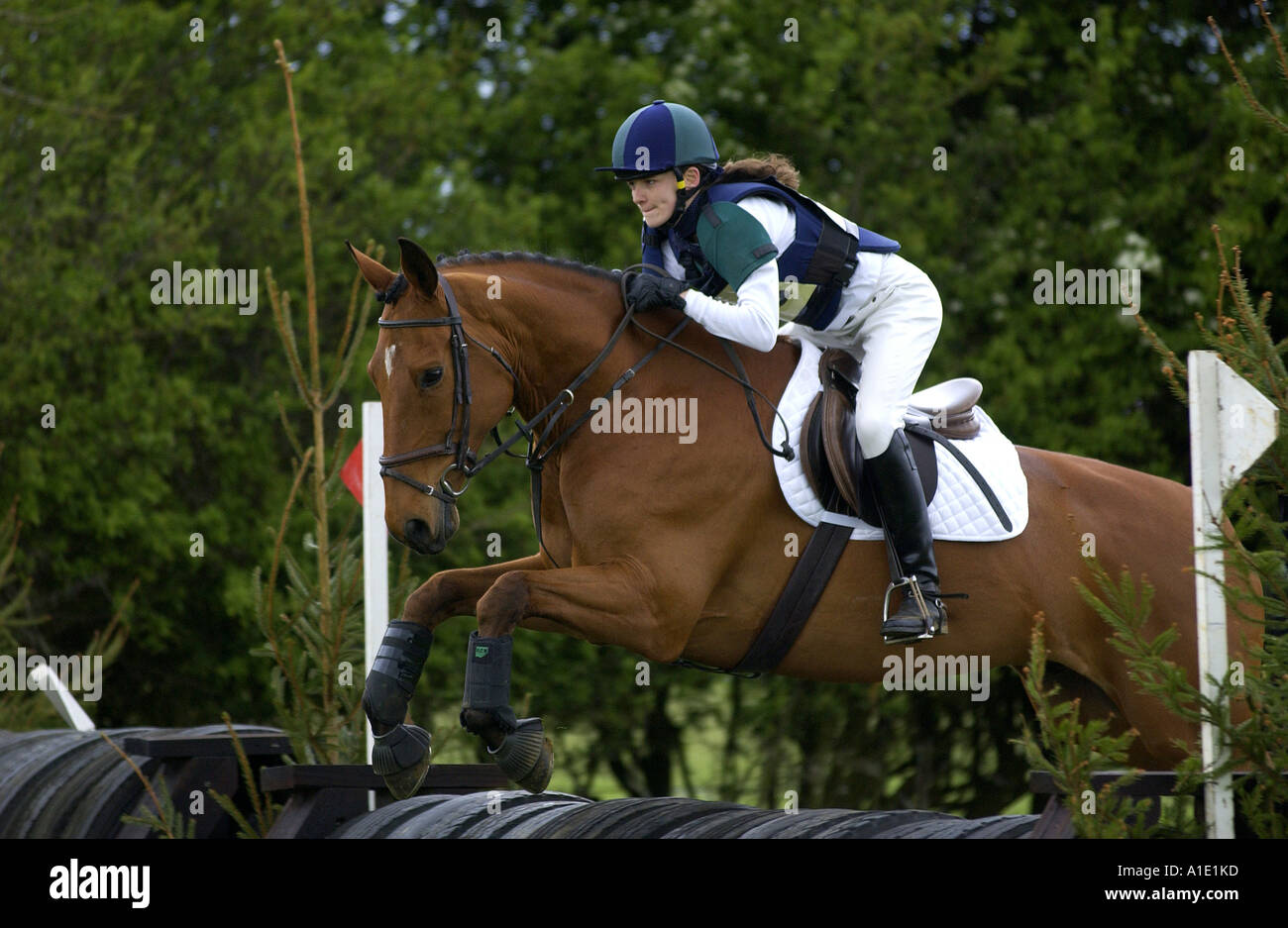 Junge Frau reitet auf einem dunklen Bucht Pferd im Vielseitigkeitsreiten Wettbewerb Vereinigtes Königreich Stockfoto