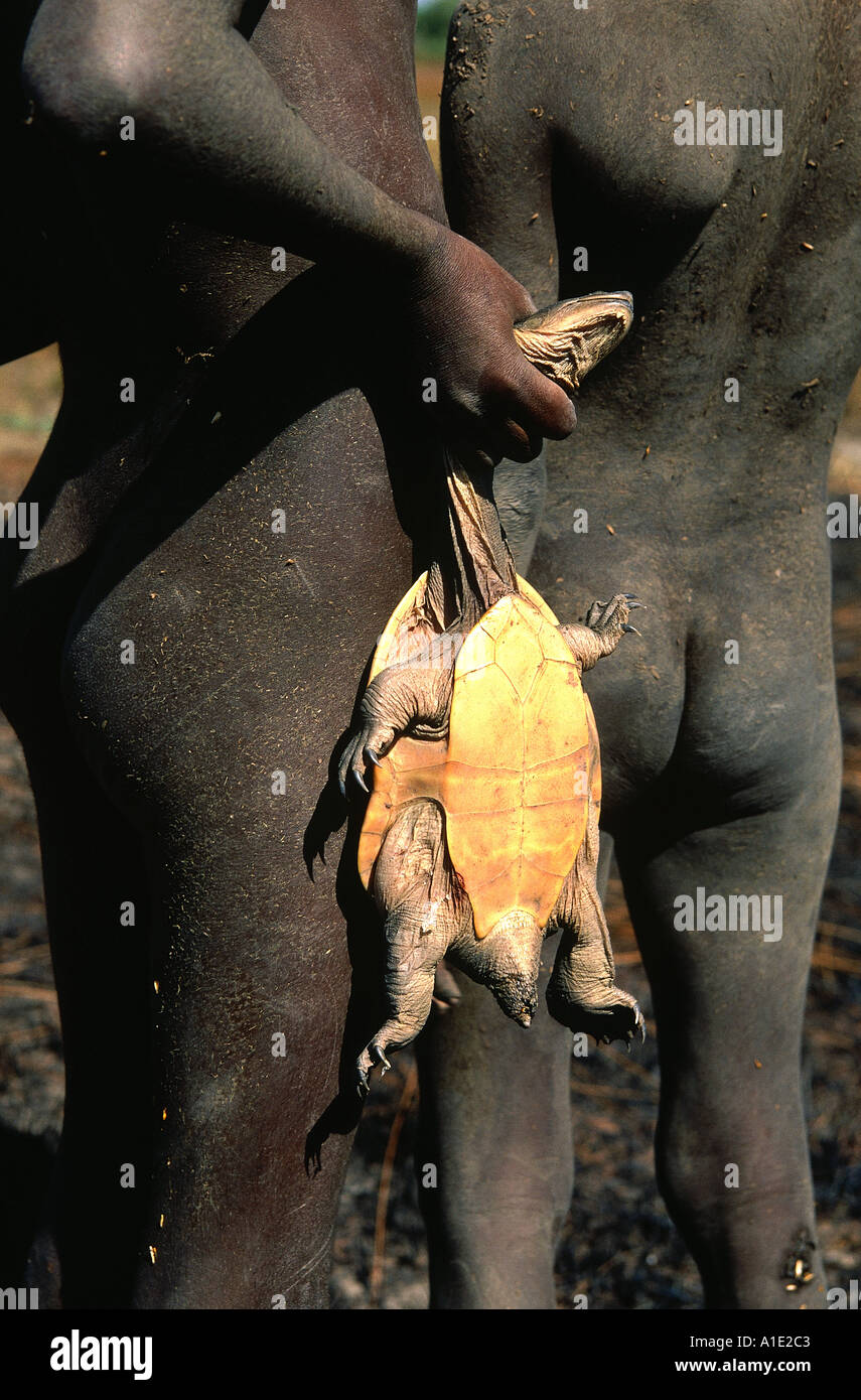 Aborigine-Kinder mit einer langen necked Schildkröte in Ararfura Sumpf gefangen, wie es in Trockenzeit Schildkröte gute Tucker - Essen trocknet Stockfoto