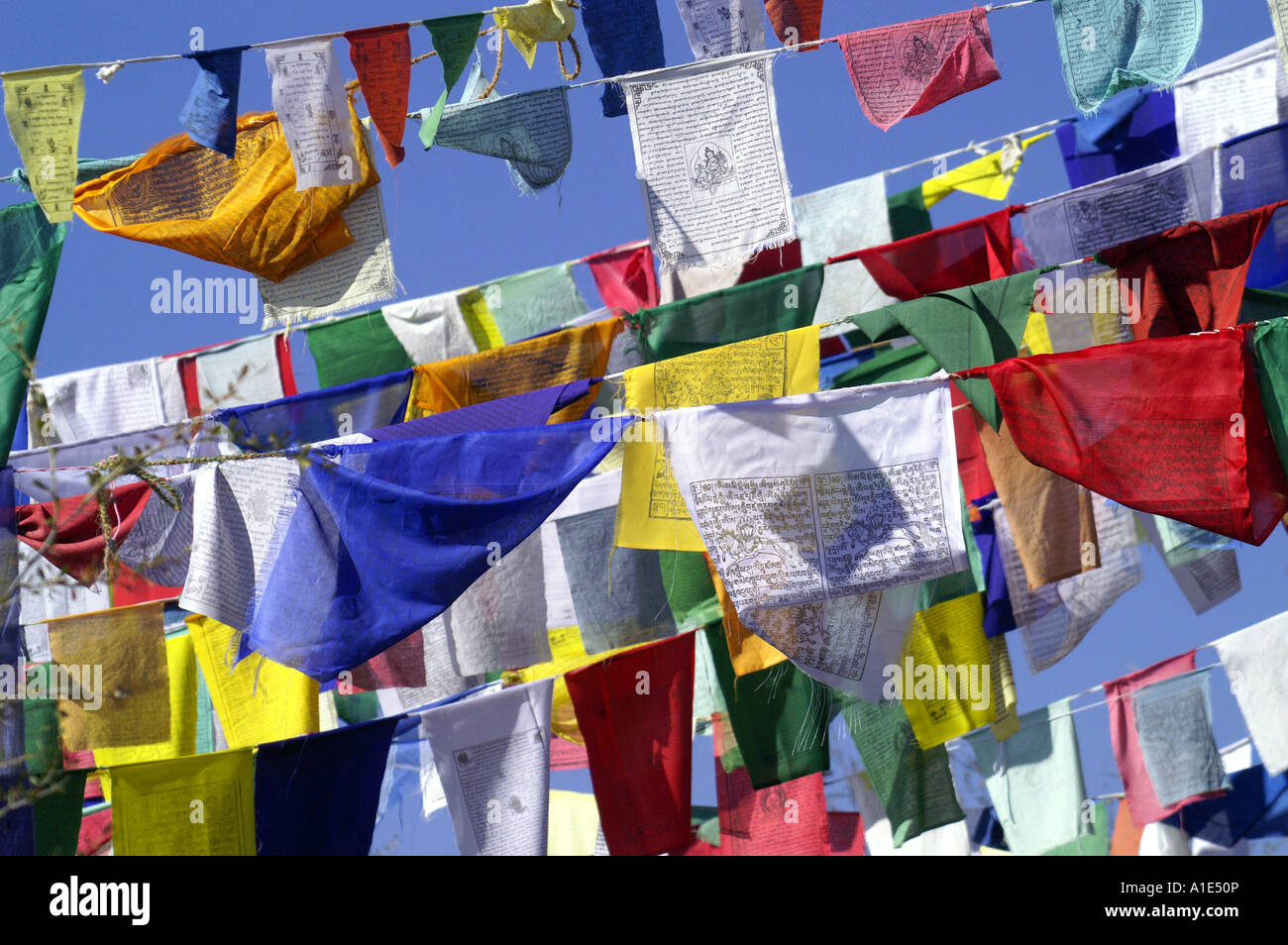 Tibetische buddhistische Gebetsfahnen draußen hängen über blauen Himmel in Indien Stockfoto