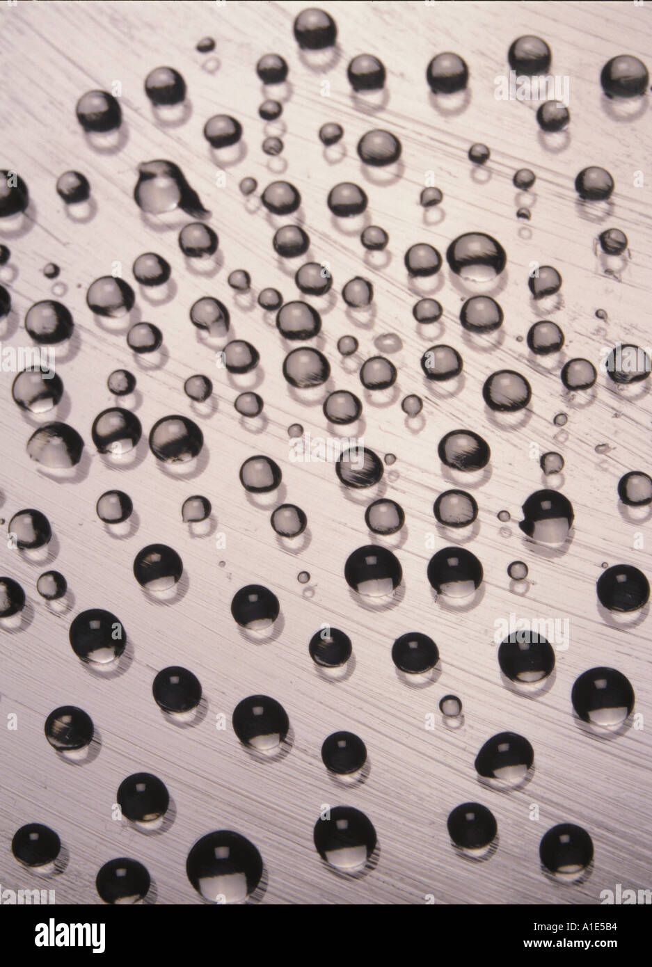 Nahaufnahme von Wassertröpfchen auf gefettetem Glas, die Oberflächenspannung und kugelförmige Formen zeigen. Relevant für Physik und Materialwissenschaften Stockfoto