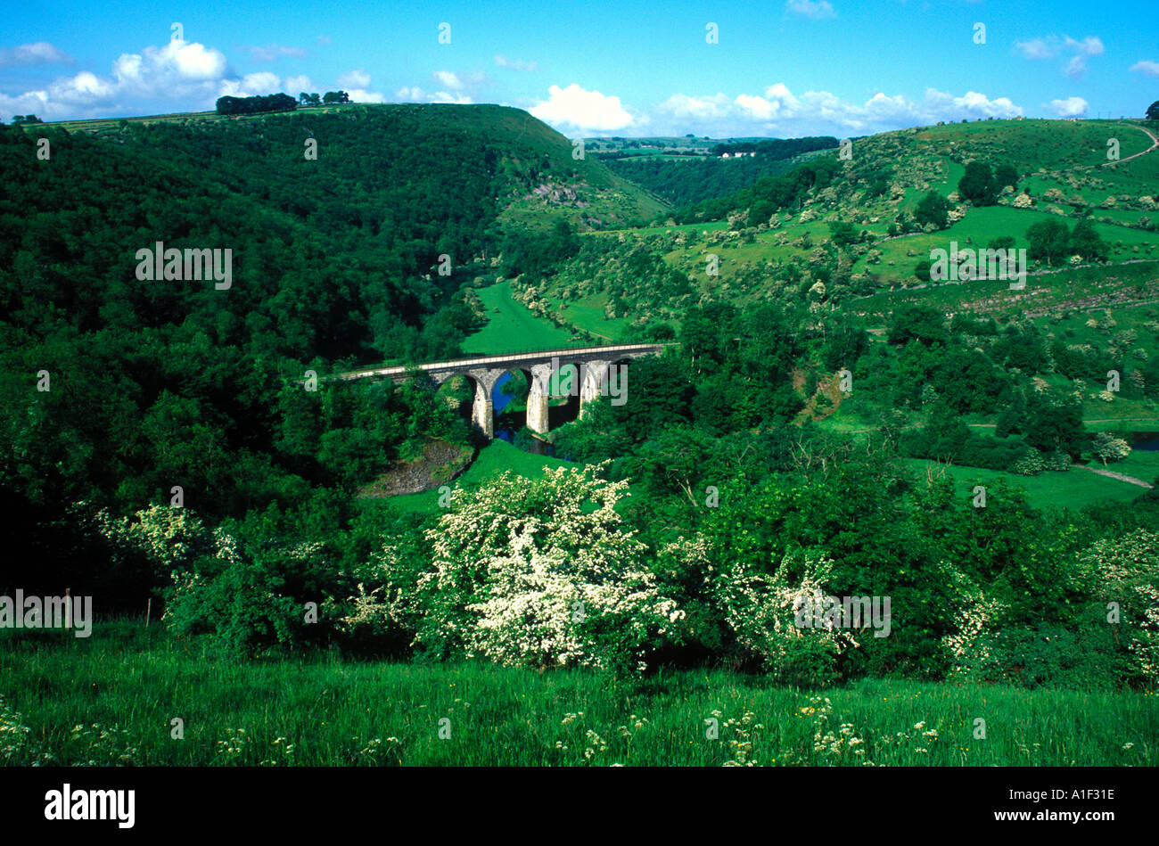 Monsal Kopf Derbyshire England Stockfoto