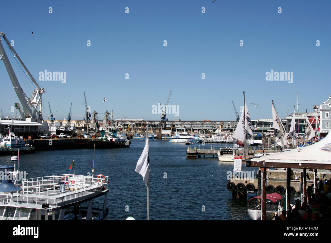 Hafen von Kapstadt Stockfoto