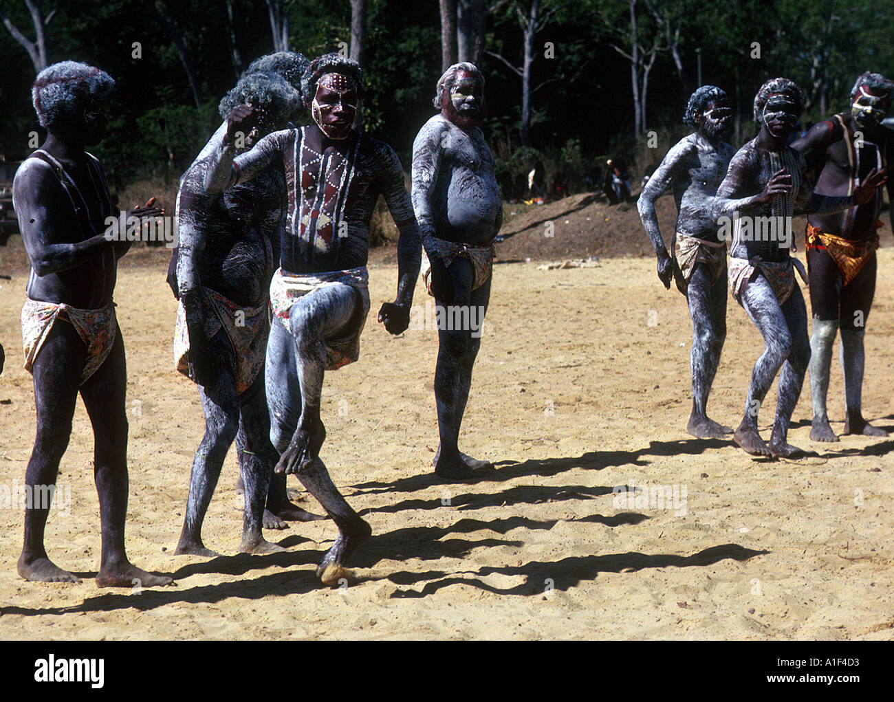 Tiwi island tiwi Fotos und Bildmaterial in hoher Auflösung Alamy