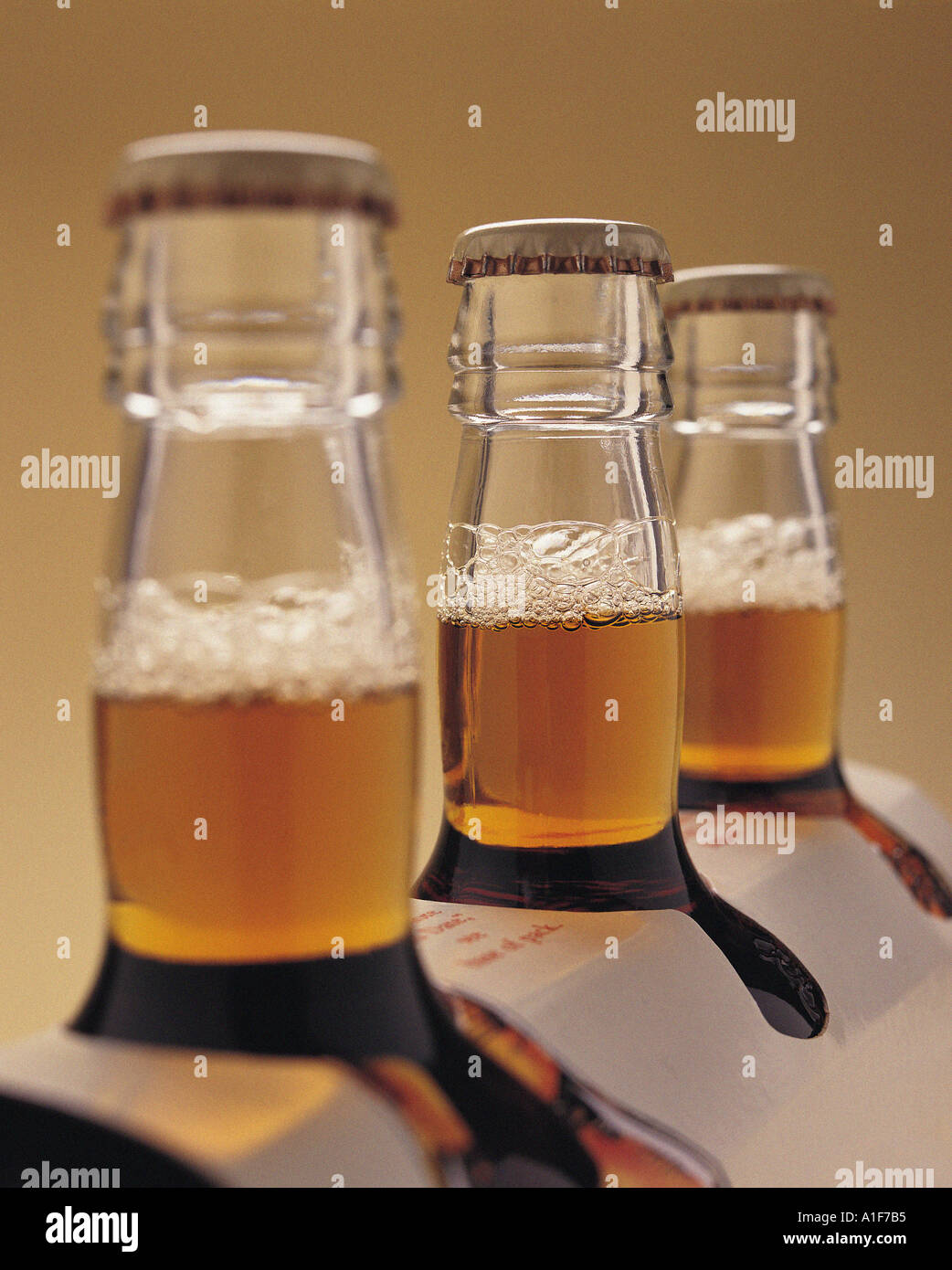 Nahaufnahme von Bier in Flaschen in einer Kartonbox Stockfoto