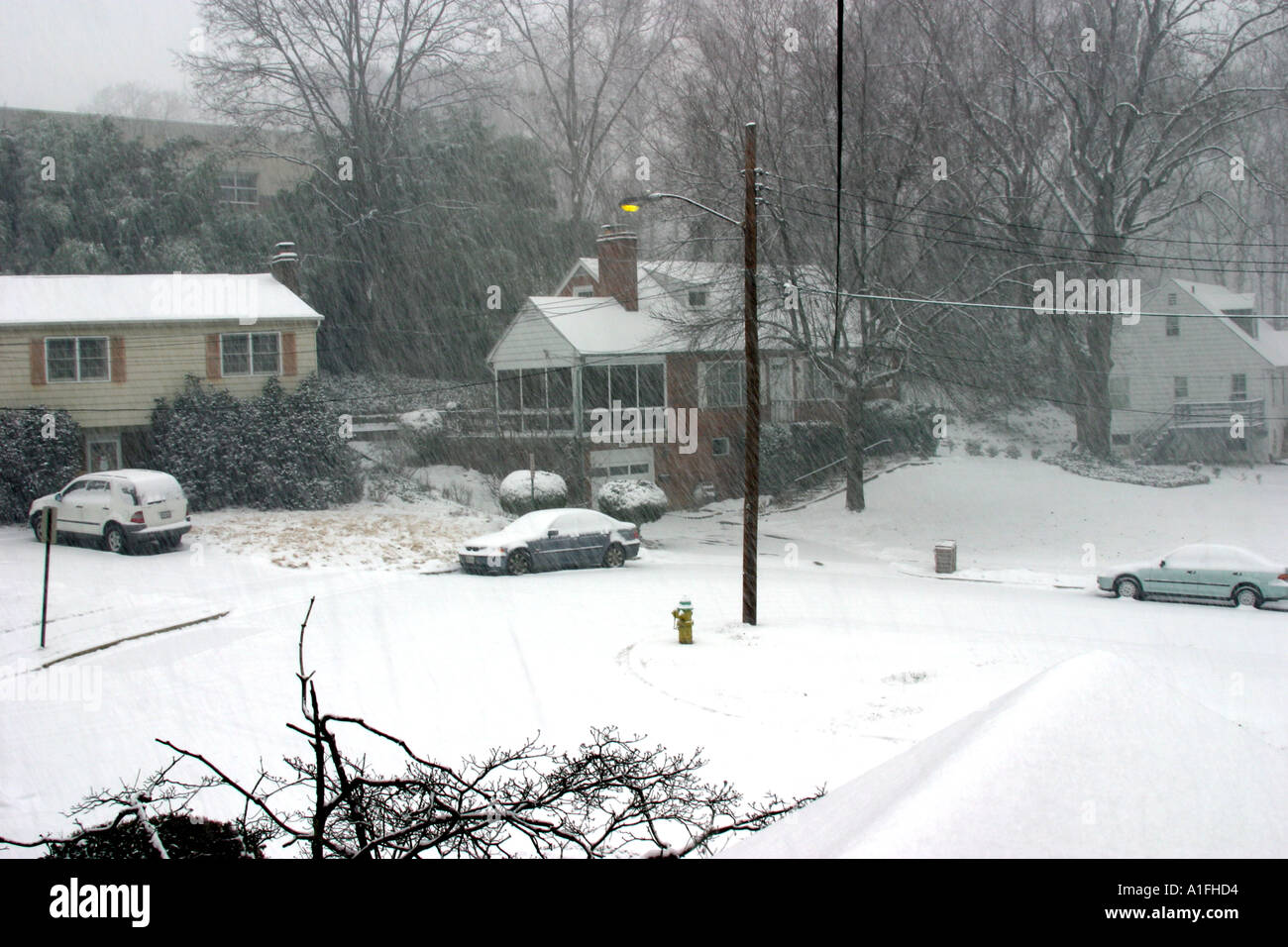 Winter-Schnee-Sturm Stockfoto