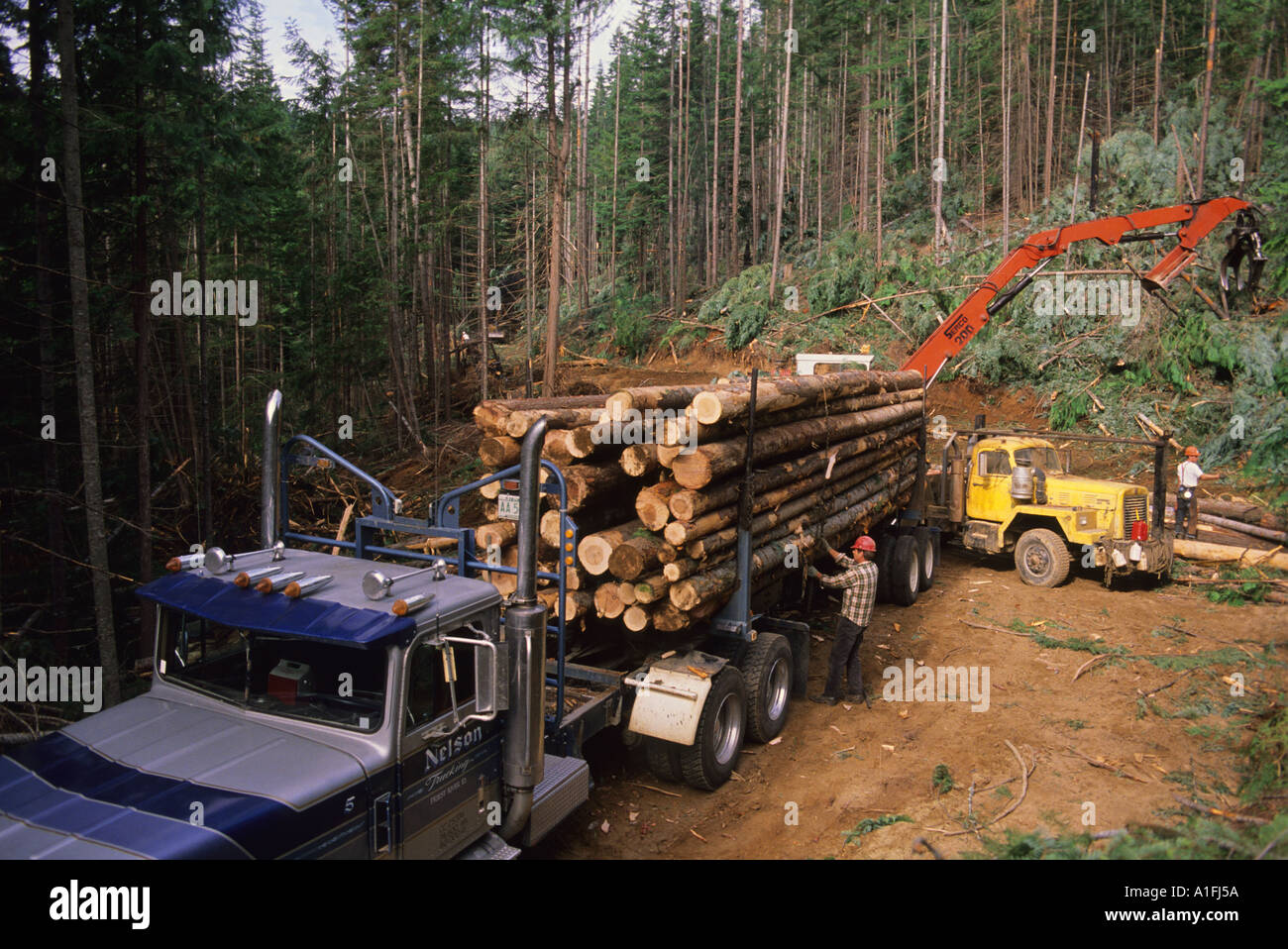 Eine Protokollierung Operation in Coeur d Alene, Idaho Stockfoto