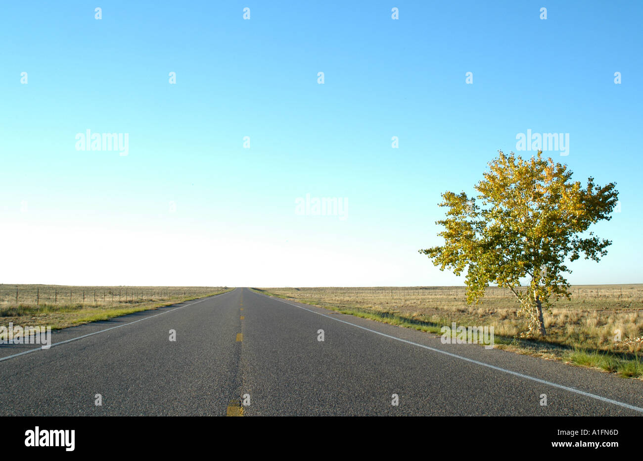 Eine flache offene Straße in der Nähe von Albuquerque, New Mexico Stockfoto