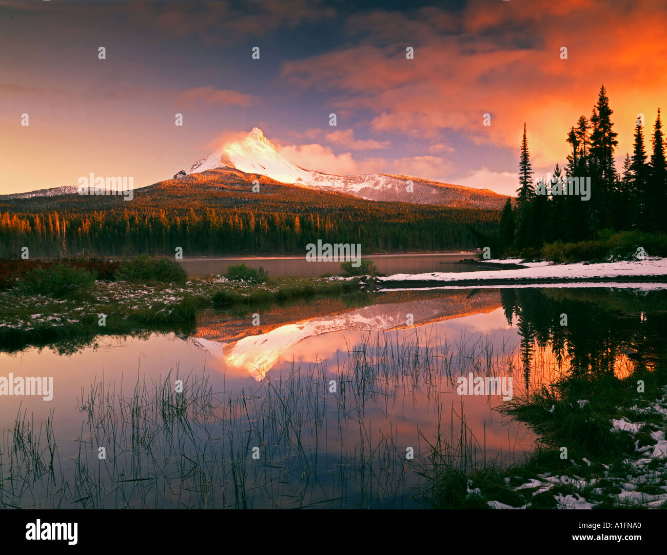 Mount Washington Reflexion im großen See-Oregon Stockfoto