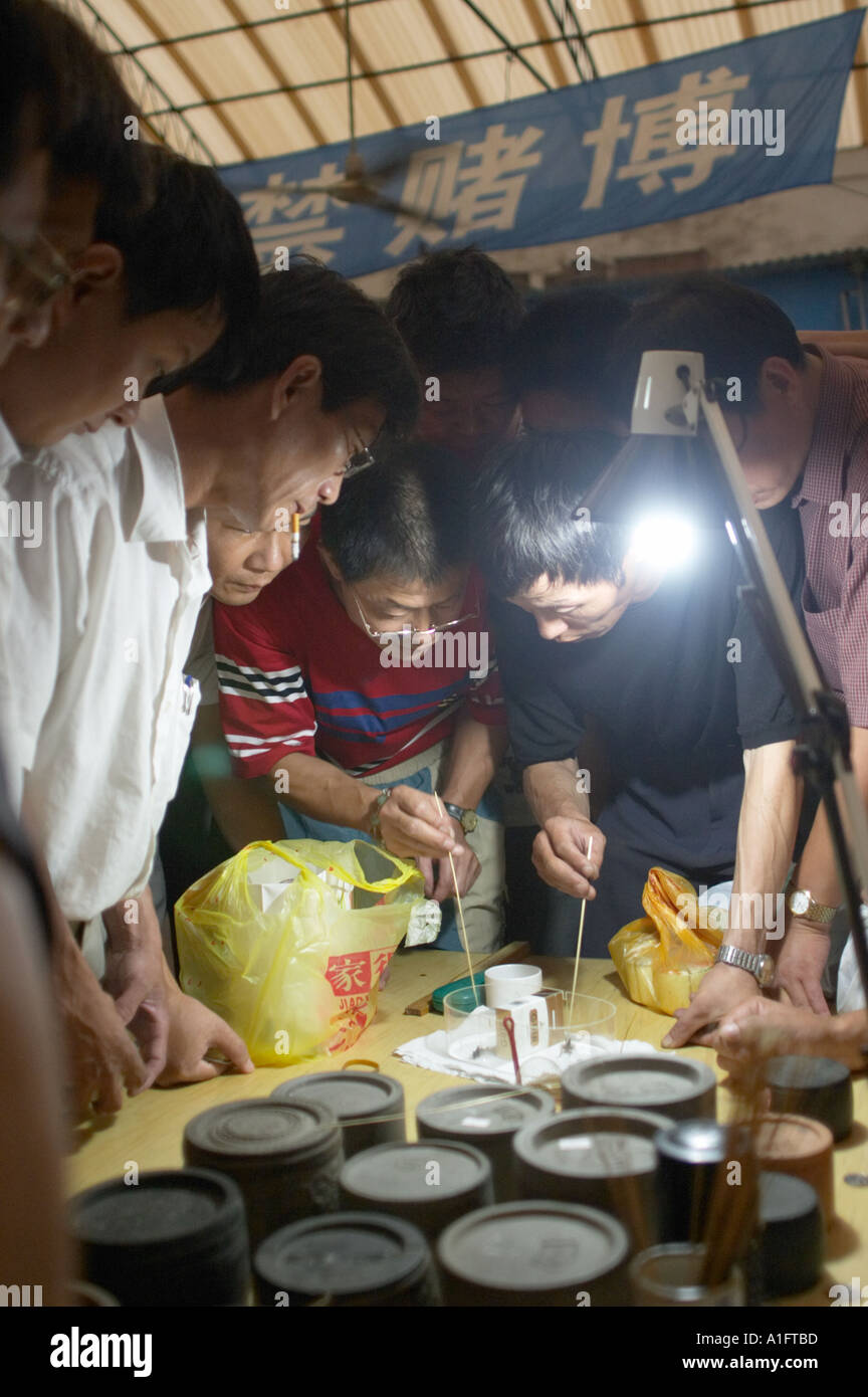 Cricket zu kämpfen ist ein beliebter Zeitvertreib in China diese Männer auswählen Auswahl Blume Vogel Fisch kaufen dann Wetten anzeigen auf Kämpfe und beobachtete Grillen Insekten an Dongtai und Insekten Markt shanghai china Stockfoto