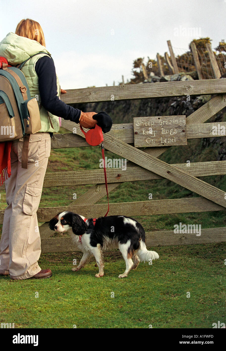 Ein Walker und Hund durch einen Hof und melden Stockfoto