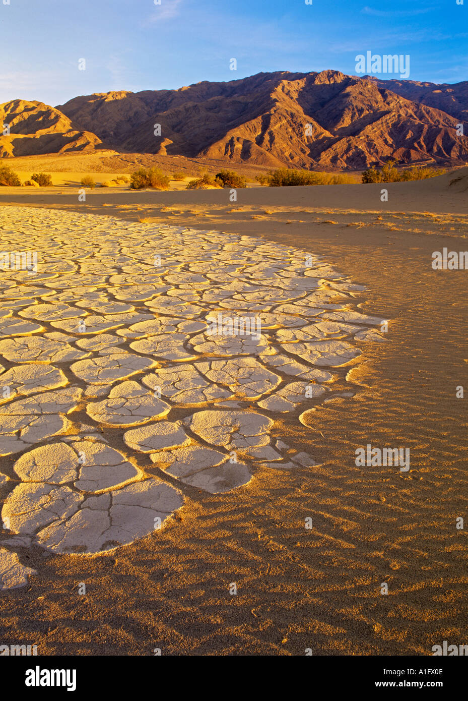 Schlamm-Muster Death Valley Nationalpark, Kalifornien Stockfoto