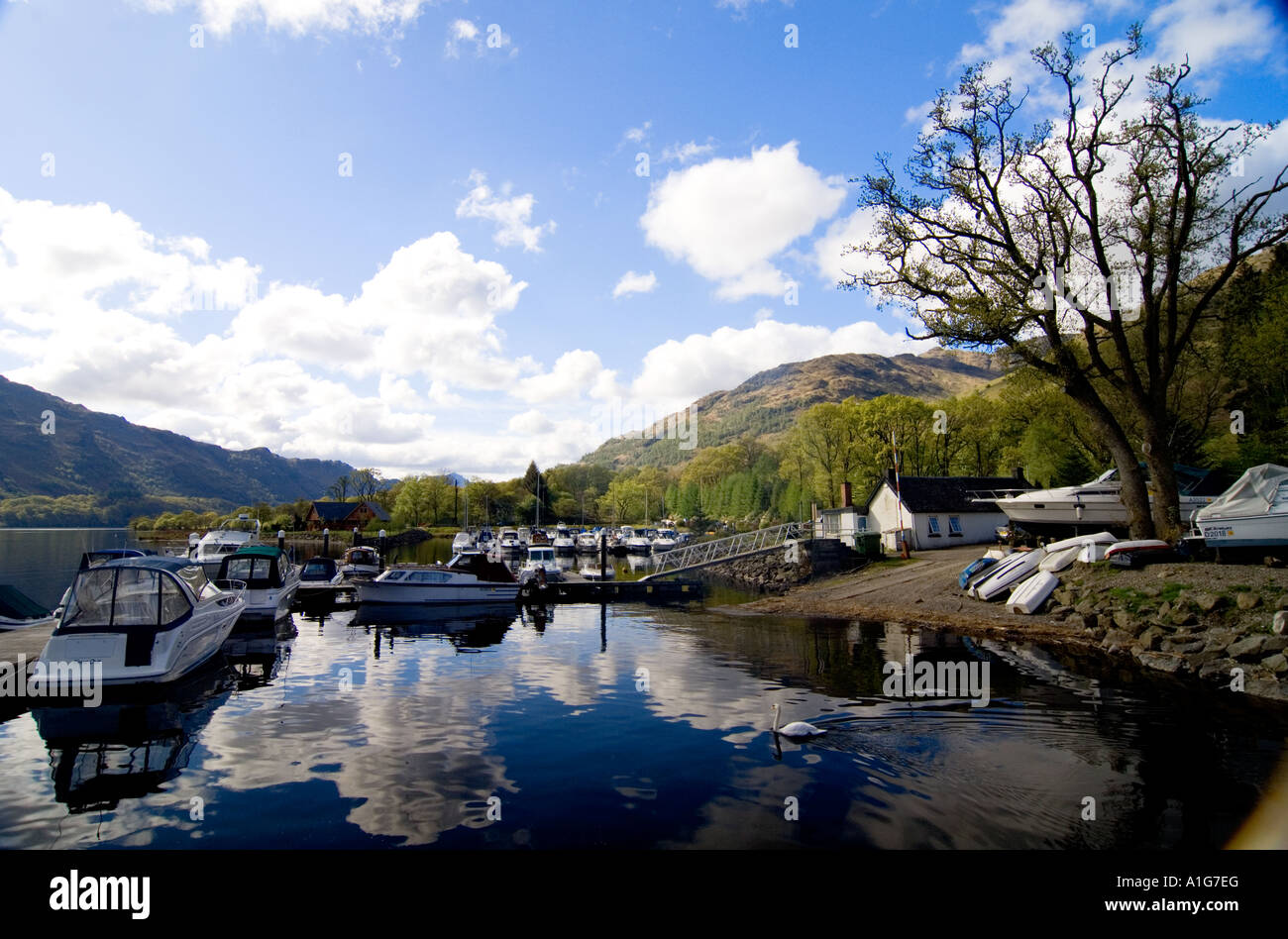 Loch Lomond Ardlui Schottland Vereinigtes Königreich Stockfoto