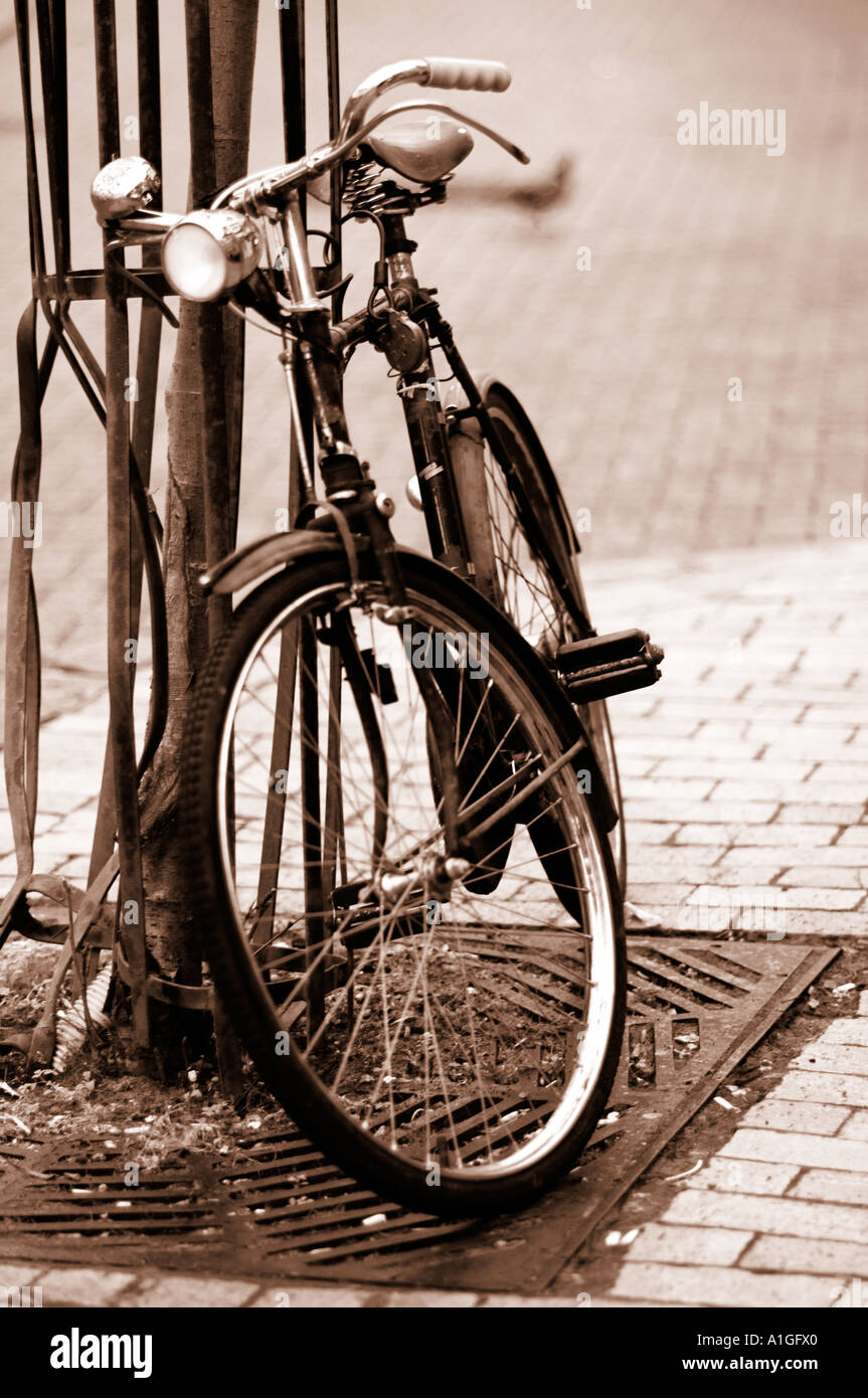 Sehr altes Fahrrad an einen Baum gelehnt auf der Straße suchen Stockfoto