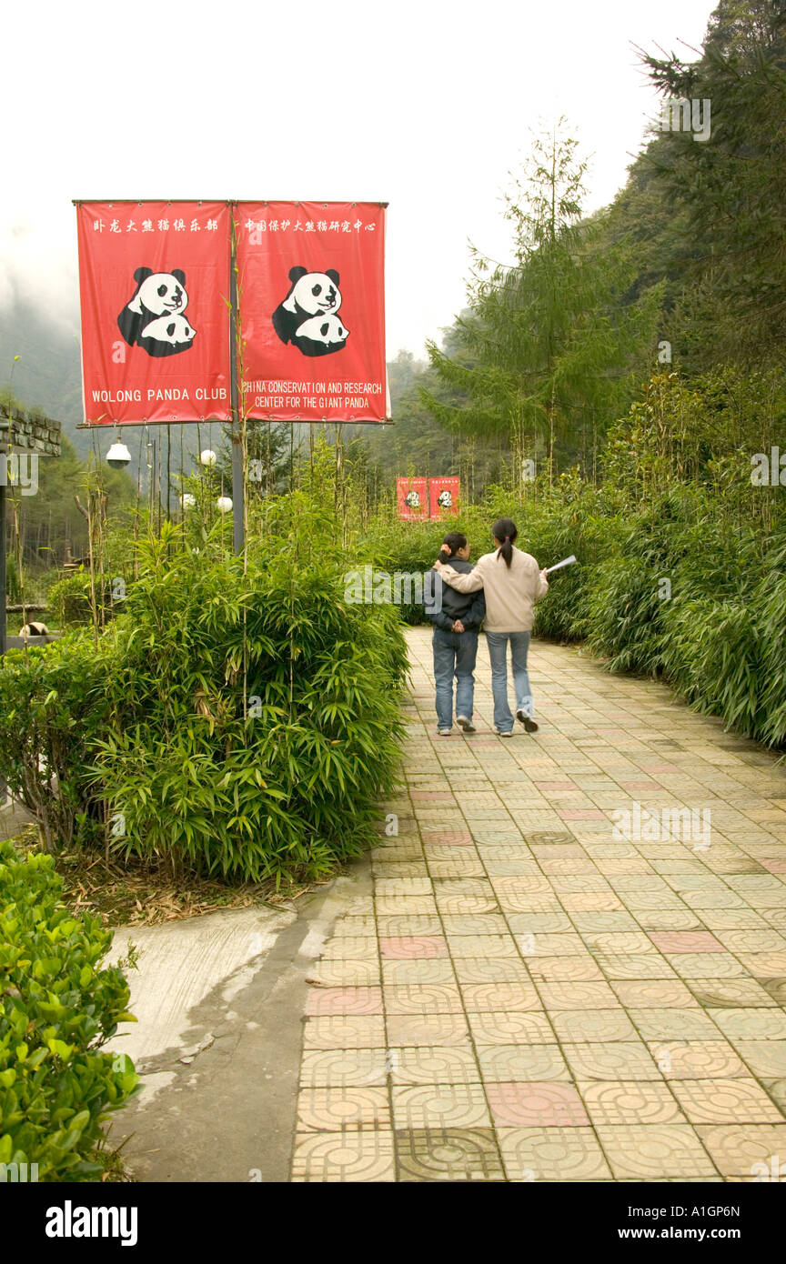 Gehweg, Wolong-Naturschutzgebiet, großer Panda, China Stockfoto