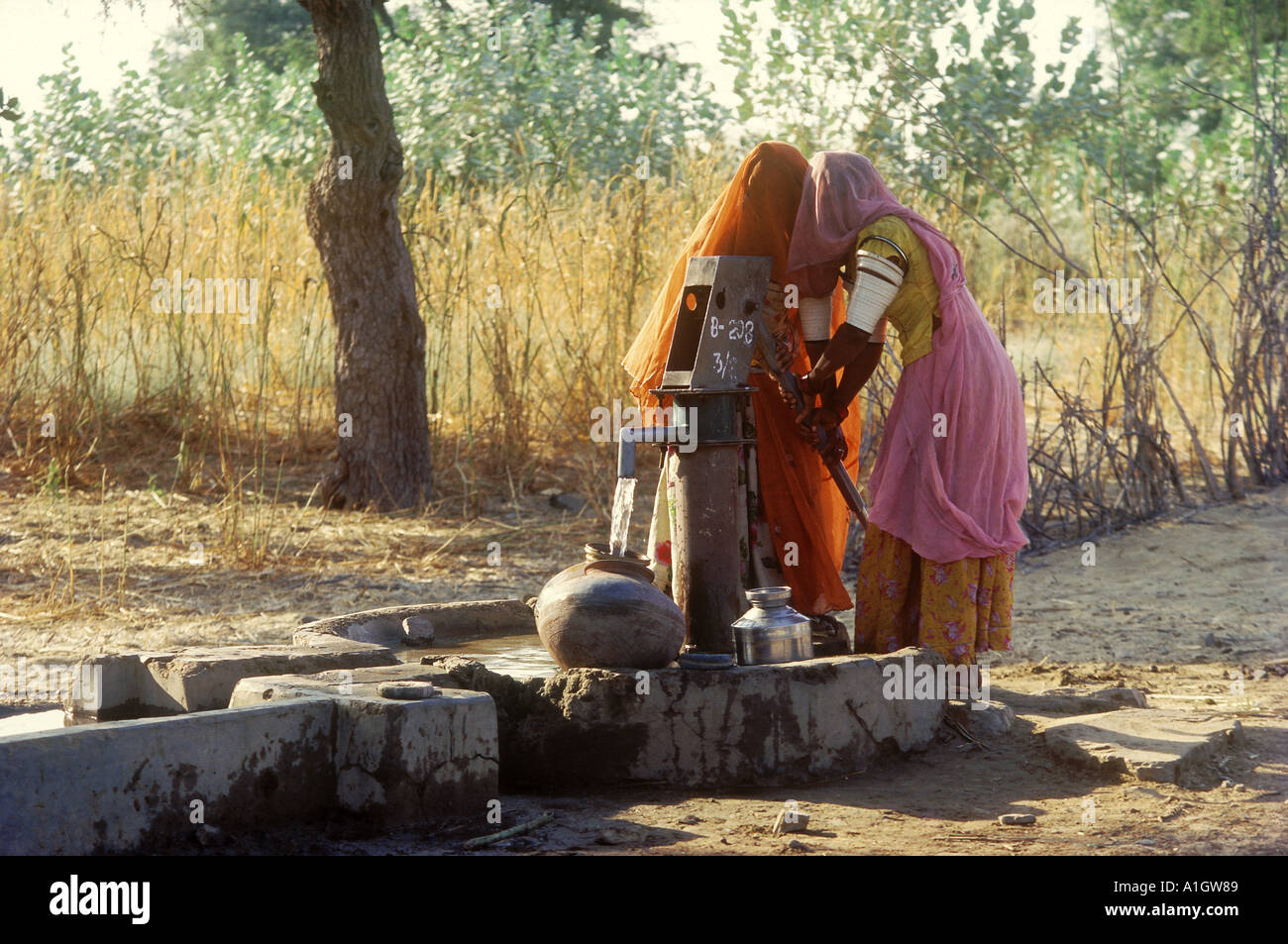 Menschen, die den Eimer mit Wasser aus der Handpumpe füllen, graben von  Hand in flachen Grundwasserleitern in Dörfern auf dem Land in China.  Rapssamen-Hülsen, Stiele, o Stockfotografie - Alamy