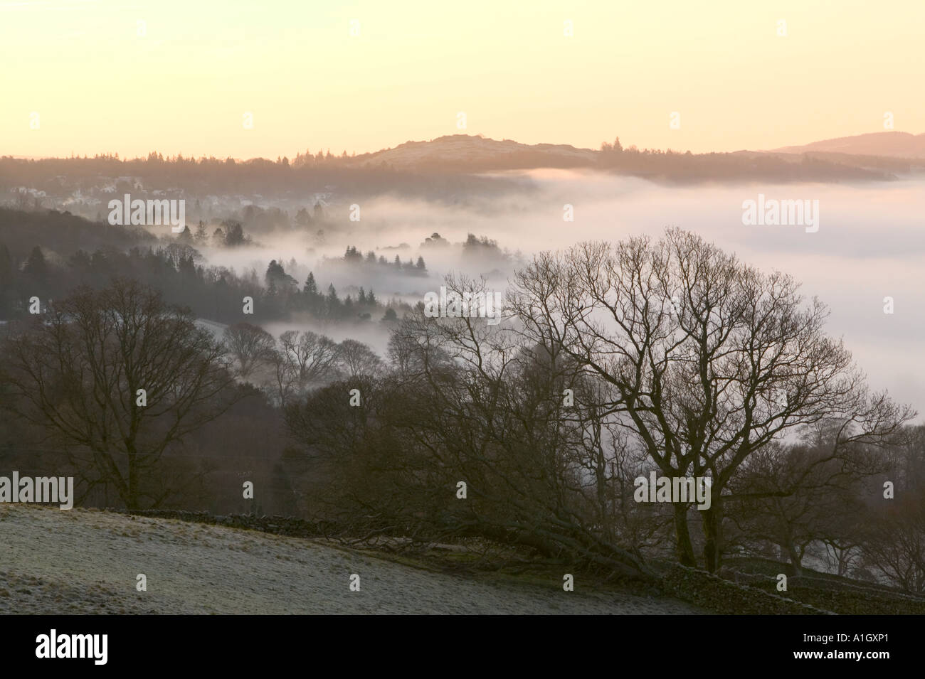 Tal über Lake Windermere an einem Winter Morgen Nebel Stockfoto