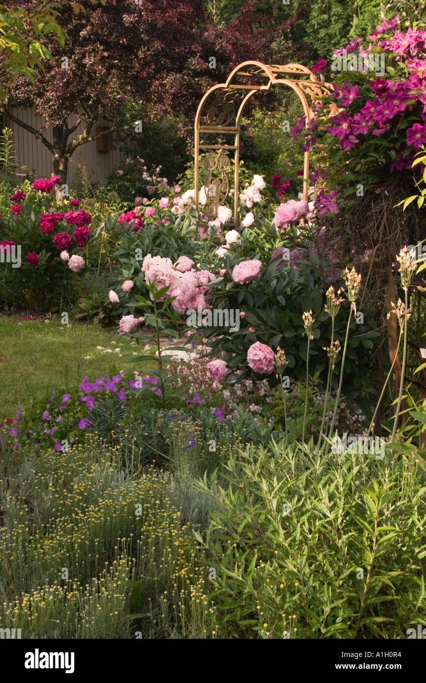 Blick auf den englischen Garten im Frühling mit blühenden Pfingstrosen und Bogen Stockfoto