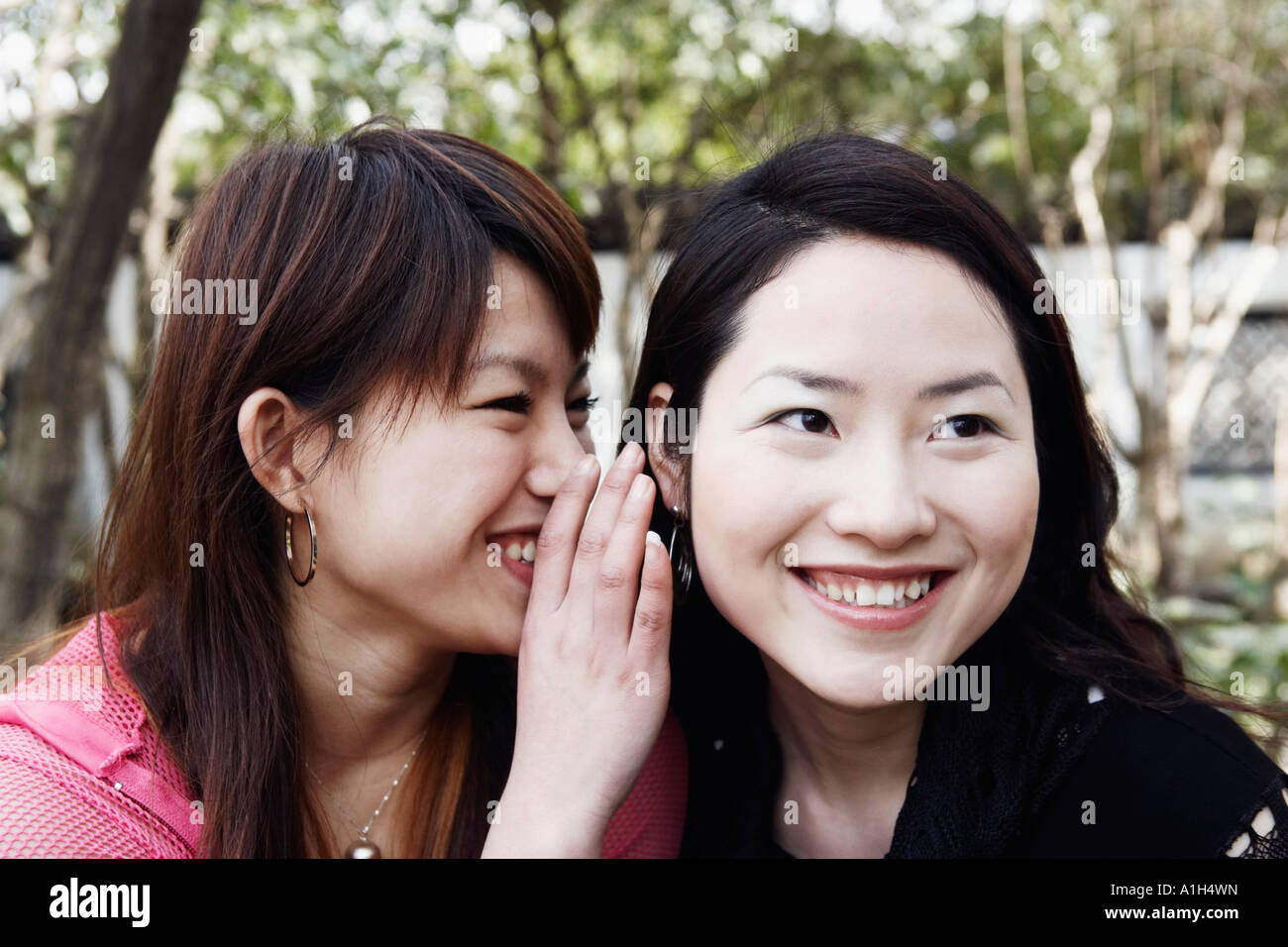 Nahaufnahme einer jungen Frau, die Geheimnisse ihres Freundes Ohr flüstern Stockfoto