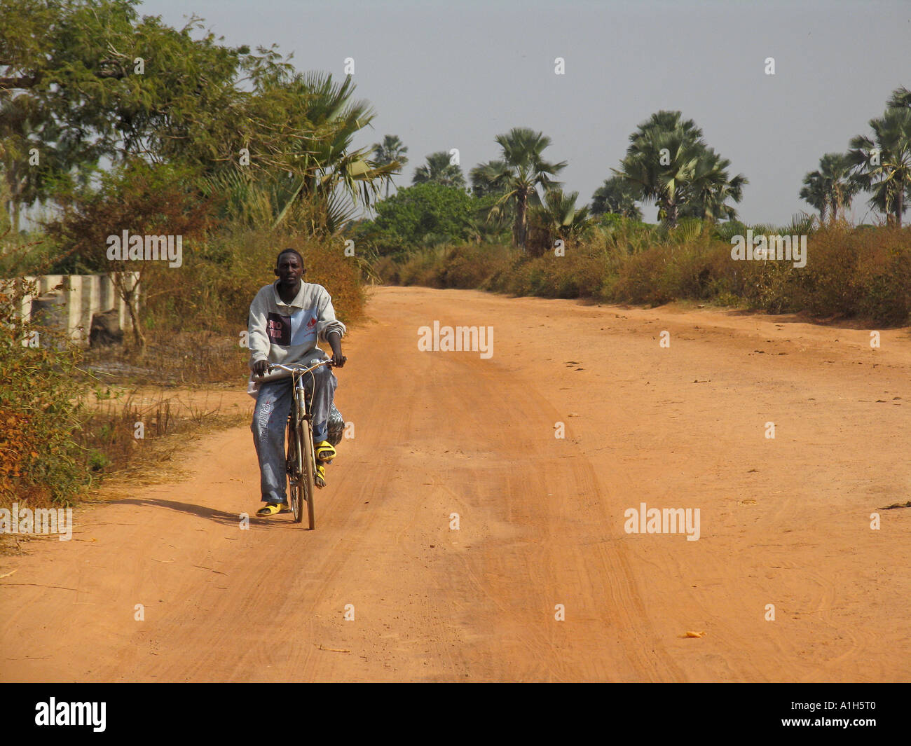 Mann fährt Fahrrad Feldweg Gambia Stockfoto