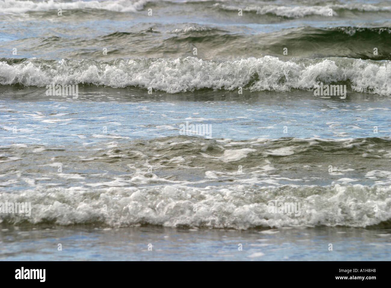 Sanfte Wellen am Meer Stockfoto